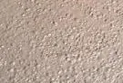 self consolidating concrete